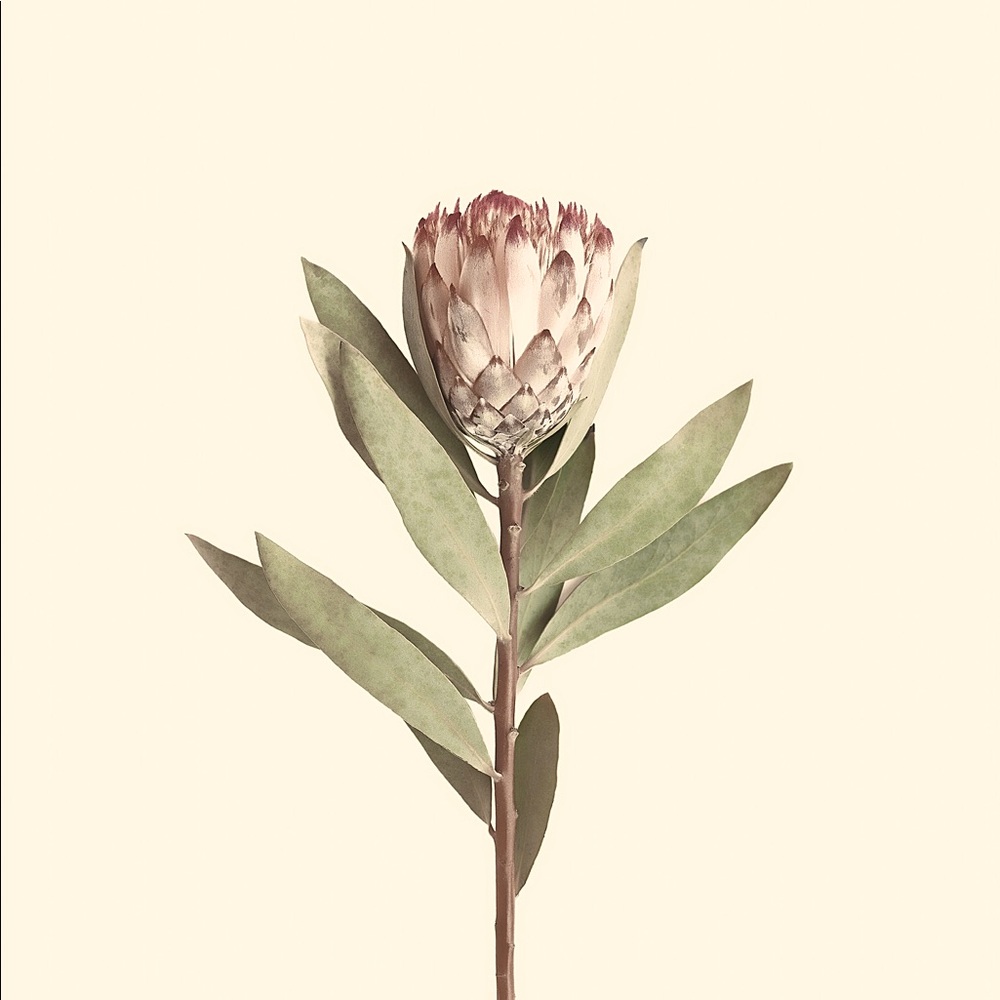 Meet your Posher, Adrienne